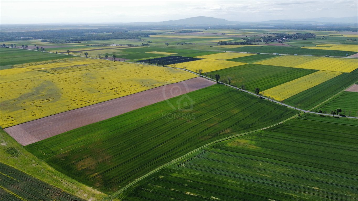 Działka inwestycyjna na sprzedaż Kostomłoty  72 256m2 Foto 4