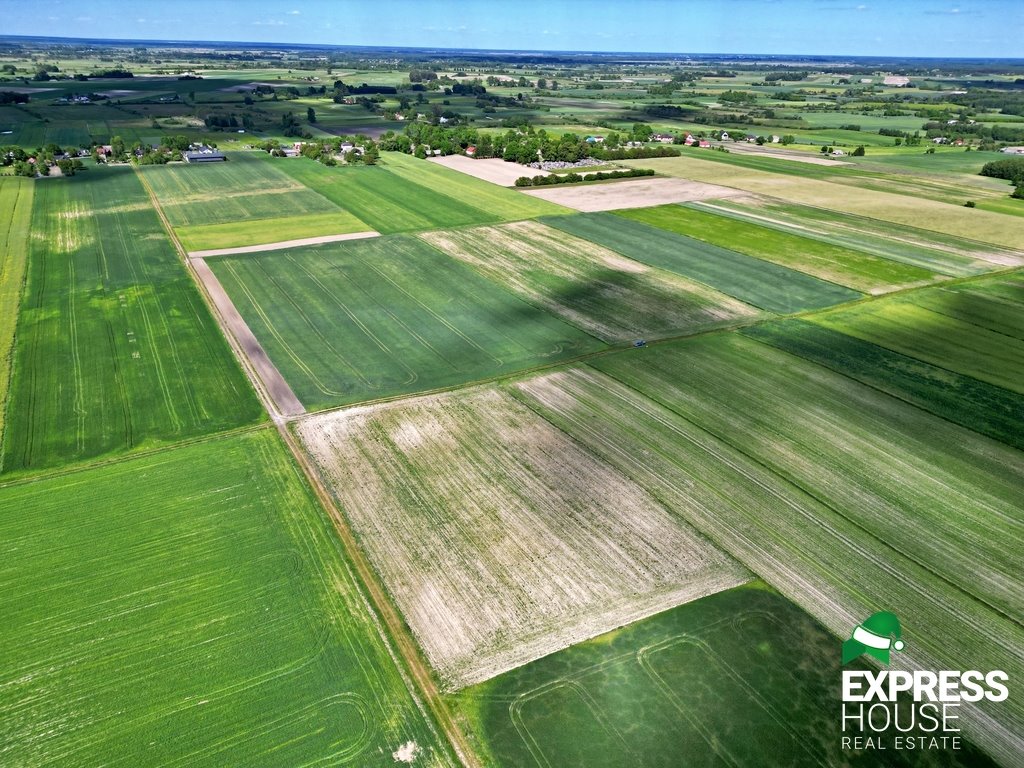 Działka rolna na sprzedaż Świerszczów  9 900m2 Foto 3