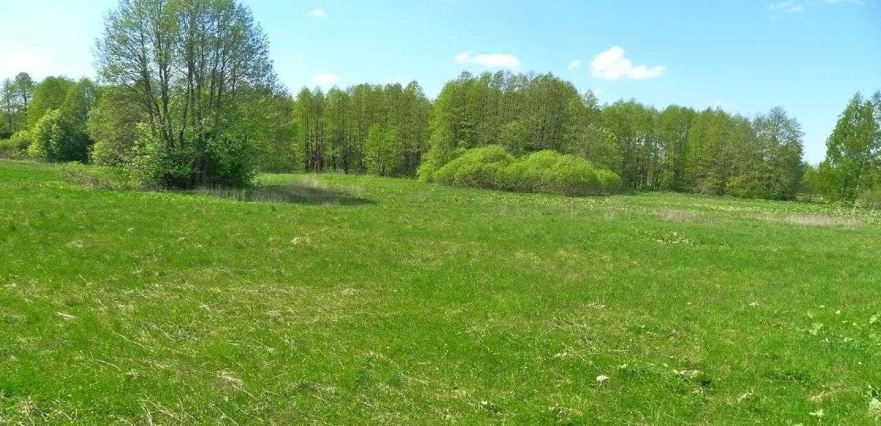 Działka budowlana na sprzedaż Filipów  1 215m2 Foto 6