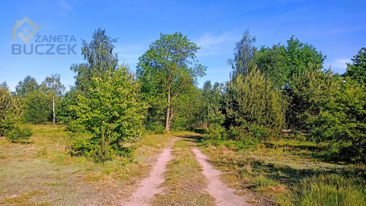 Działka budowlana na sprzedaż Adamowa Góra  1 100m2 Foto 7