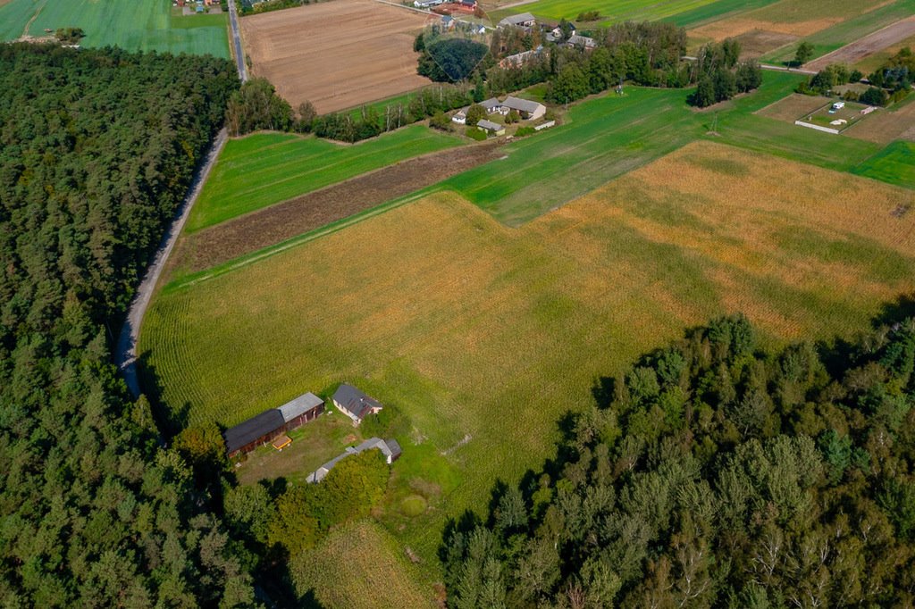 Działka budowlana na sprzedaż Wodzin Majoracki, Okupniki  1 200m2 Foto 3