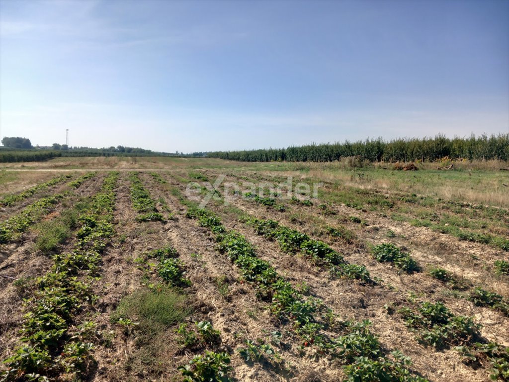 Działka budowlana na sprzedaż Chrzczonowice  56 200m2 Foto 12