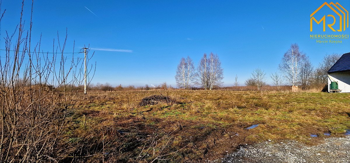 Działka budowlana na sprzedaż Krzeczów  850m2 Foto 3