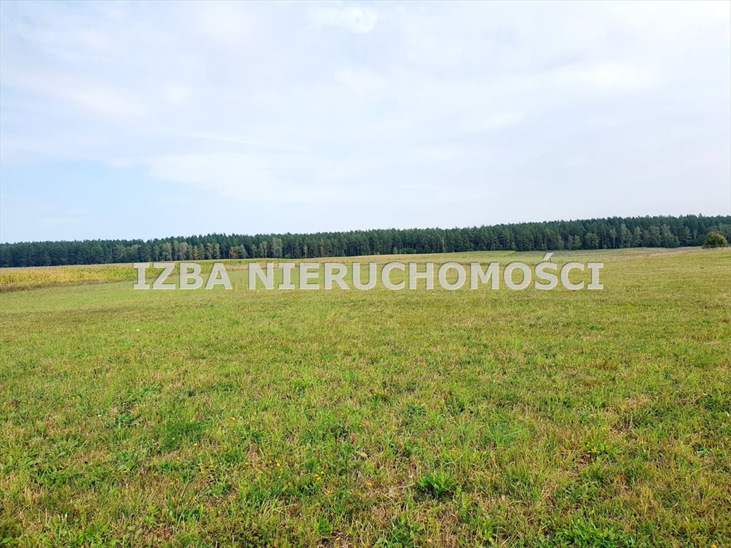 Działka rekreacyjna na sprzedaż Grabnik  3 400m2 Foto 13