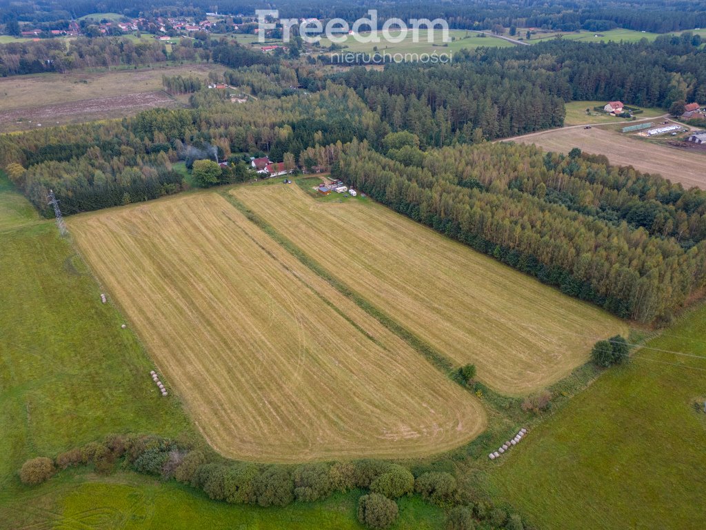 Działka rolna na sprzedaż Wrzesina  3 300m2 Foto 4