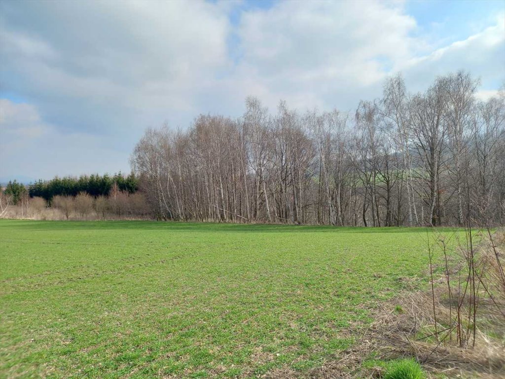 Działka budowlana na sprzedaż Witoszów Górny, Witoszów Górny  1 518m2 Foto 1