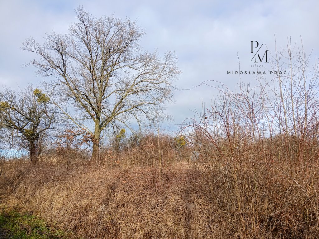 Działka budowlana na sprzedaż Piskorzyna  2 296m2 Foto 4