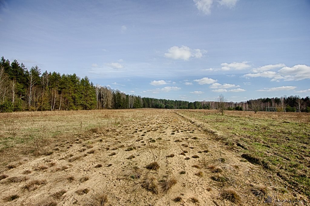 Działka inna na sprzedaż Zarzeczany  3 000m2 Foto 7