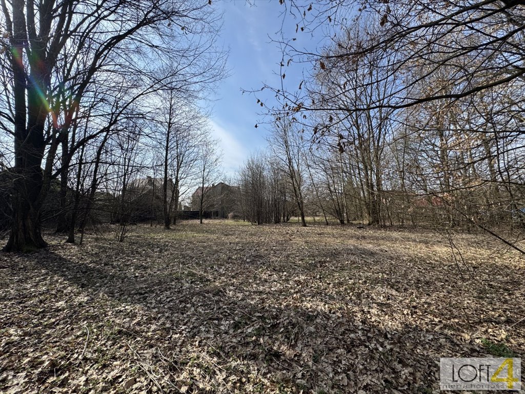 Na sprzedaż działka 1,27 ha z lasem i potencjałem inwestycyjnym Dołęga  12 698m2 Foto 1
