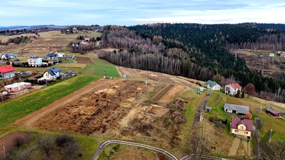 Działka budowlana na sprzedaż Paszyn  5 400m2 Foto 7