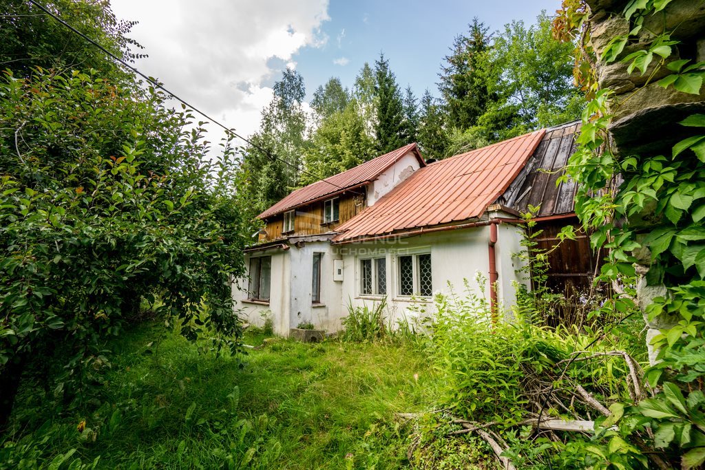 Dom na sprzedaż Niemojów  100m2 Foto 6