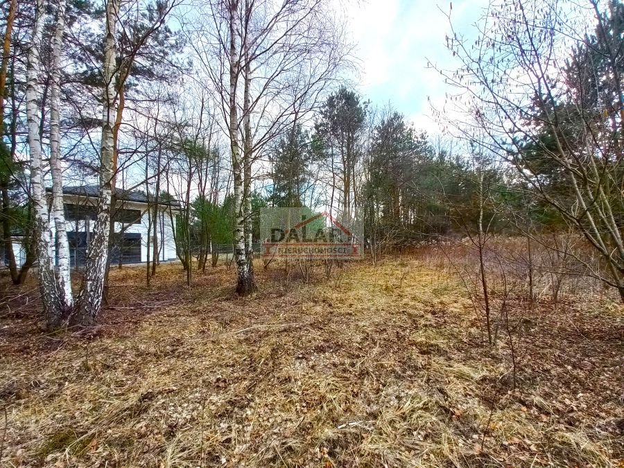 Działka budowlana na sprzedaż Runów  4 667m2 Foto 1