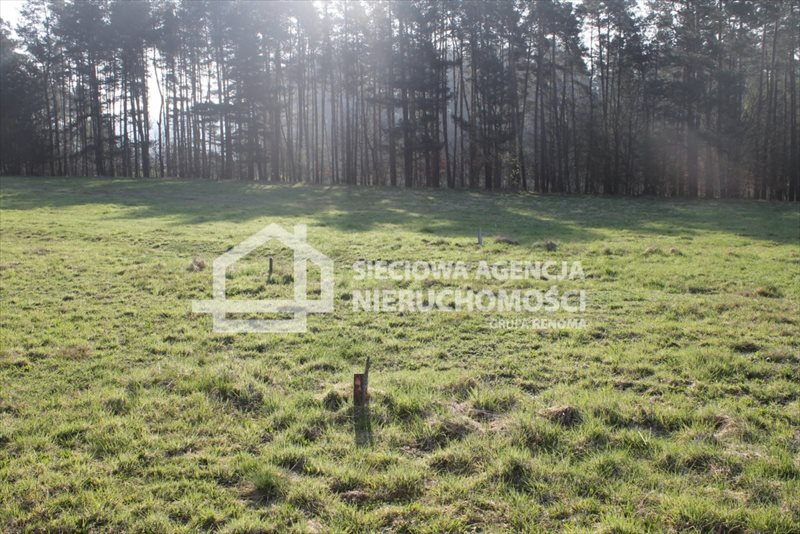 Działka budowlana na sprzedaż Lubowidz 1 760m2 Foto 1 Działka budowlana na sprzedaż Lubowidz 1 760m2 Foto 1