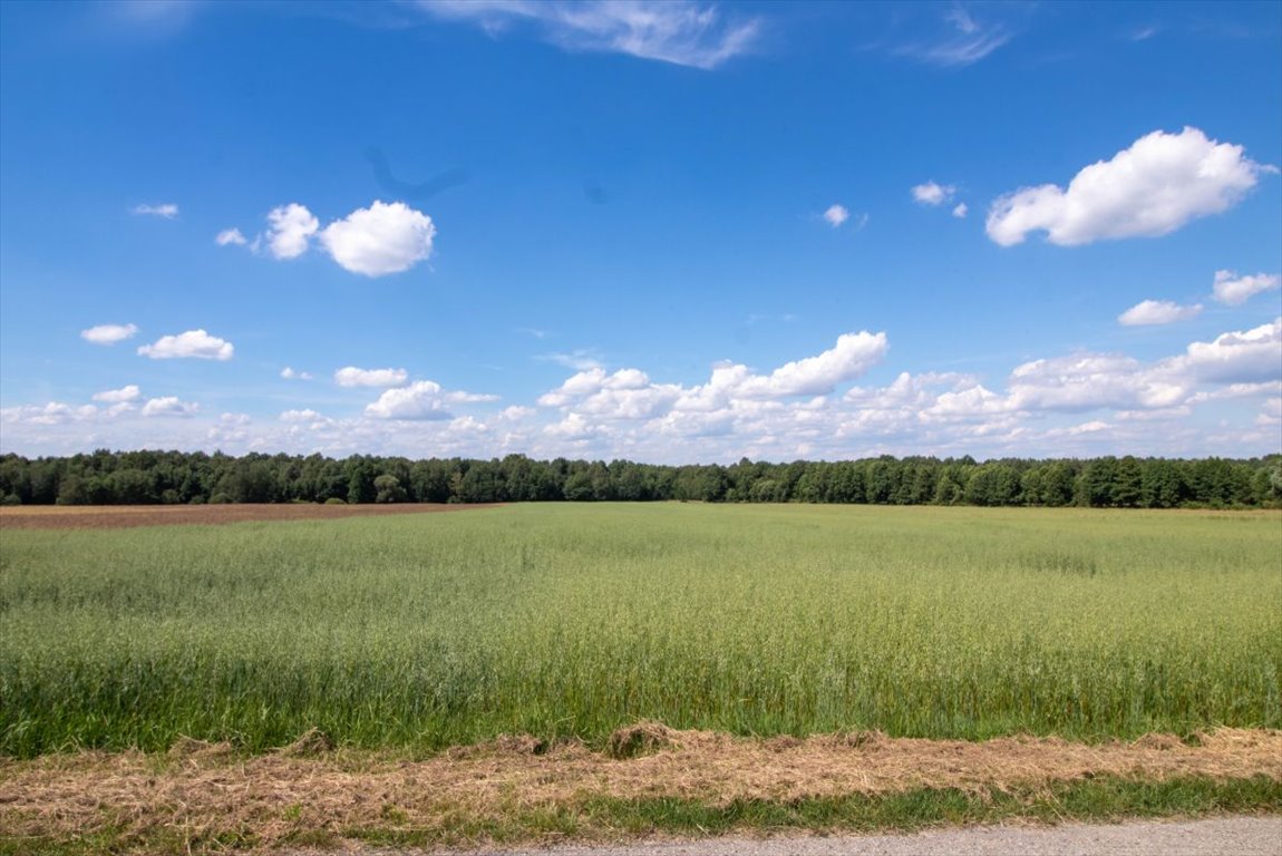 Działka budowlana na sprzedaż Woźniki, Czarny Las, Czarny Las  29 522m2 Foto 10