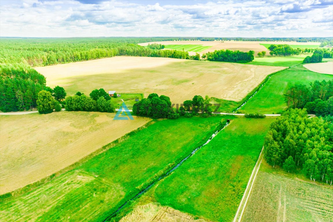 Działka rolna na sprzedaż Chojniczki  4 600m2 Foto 4