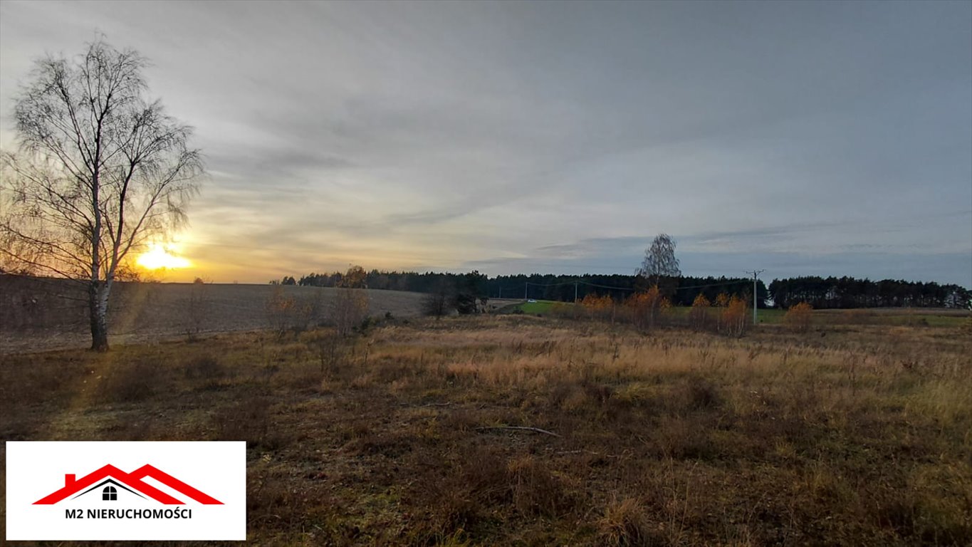 Malownicza działka 2,52 ha pod rekreację i uprawy Górzno-Wybudowanie, Górzno-Wybudowanie  25 200m2 Foto 1