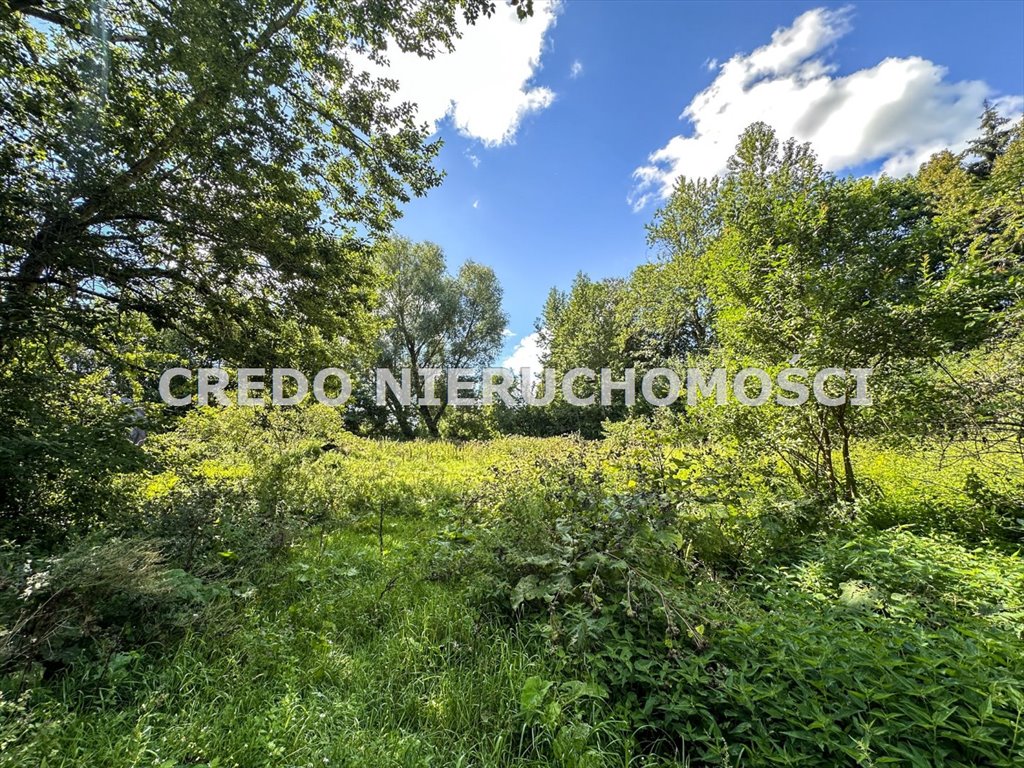 Dom na sprzedaż Gradki  80m2 Foto 16