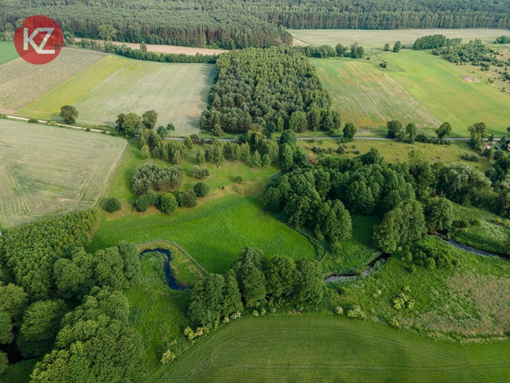 Działka budowlana na sprzedaż Żeleźnica  15 000m2 Foto 7