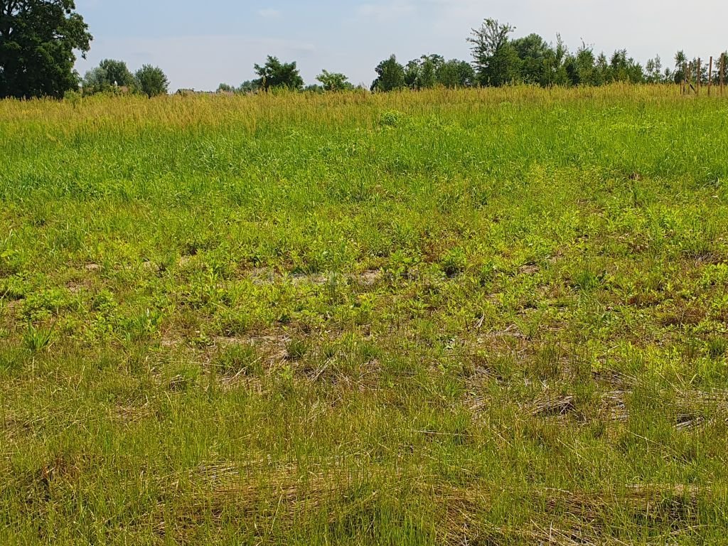 Działka inna na sprzedaż Dawidy Bankowe, Waltorni  1 000m2 Foto 4