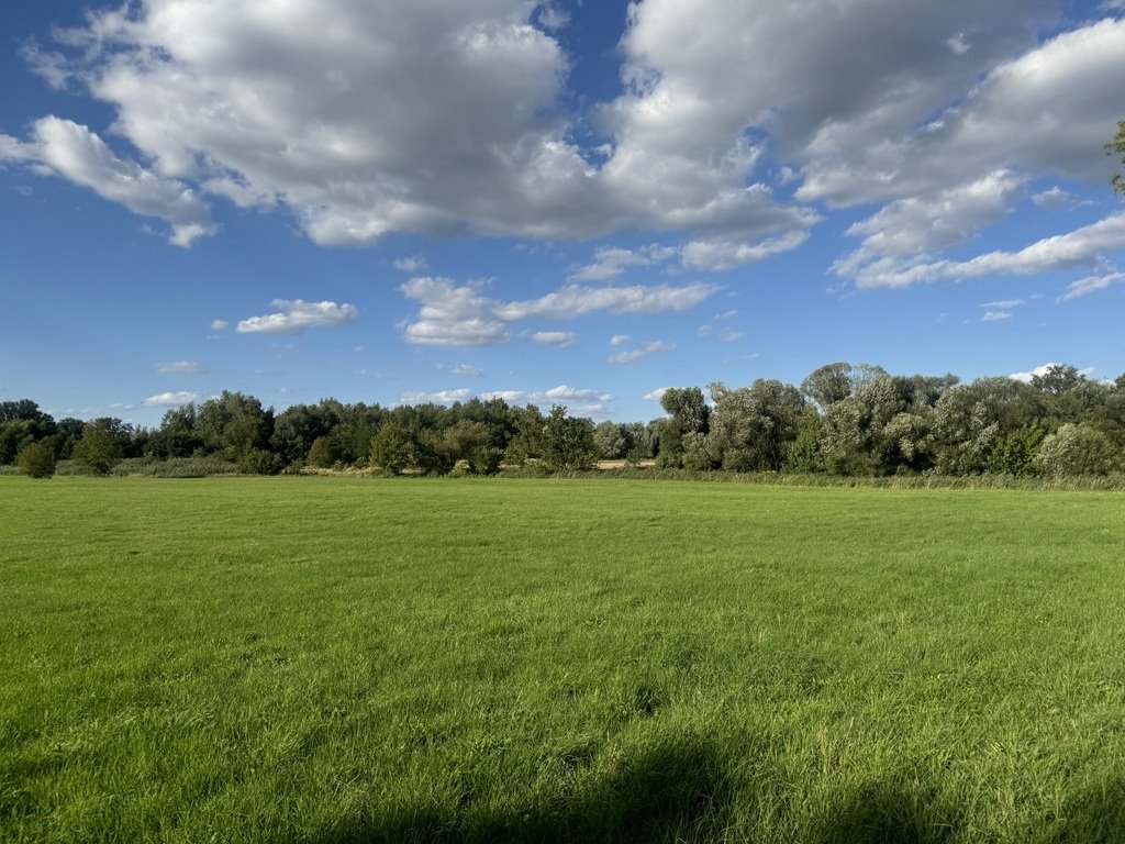 Działka rolna na sprzedaż Pabianice  20 000m2 Foto 6