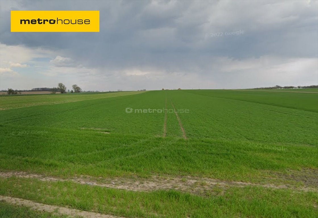 Działka budowlana na sprzedaż Perzyny  9 690m2 Foto 1
