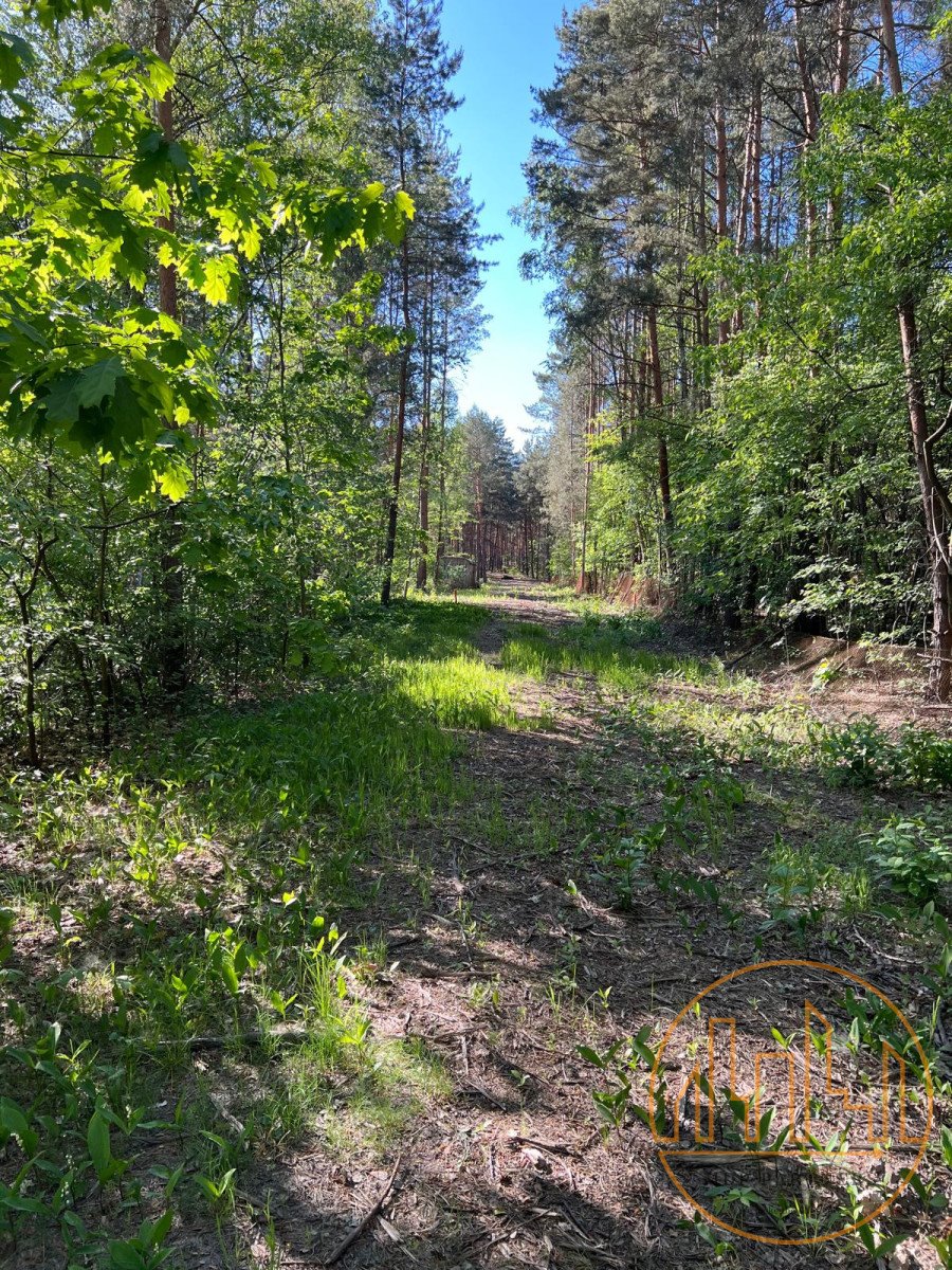 Działka budowlana na sprzedaż Emów  2 227m2 Foto 4