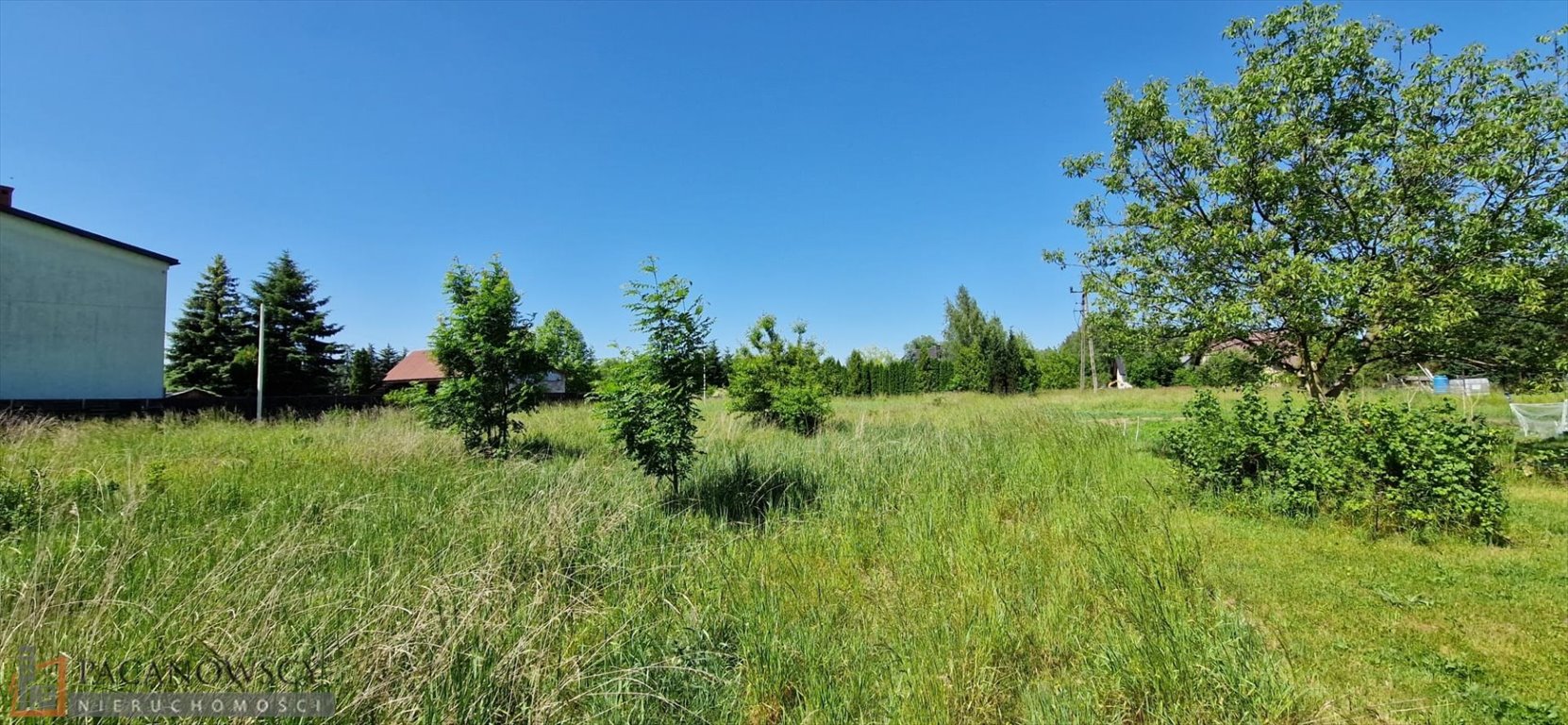 Działka budowlana na sprzedaż Pisary  3 967m2 Foto 2