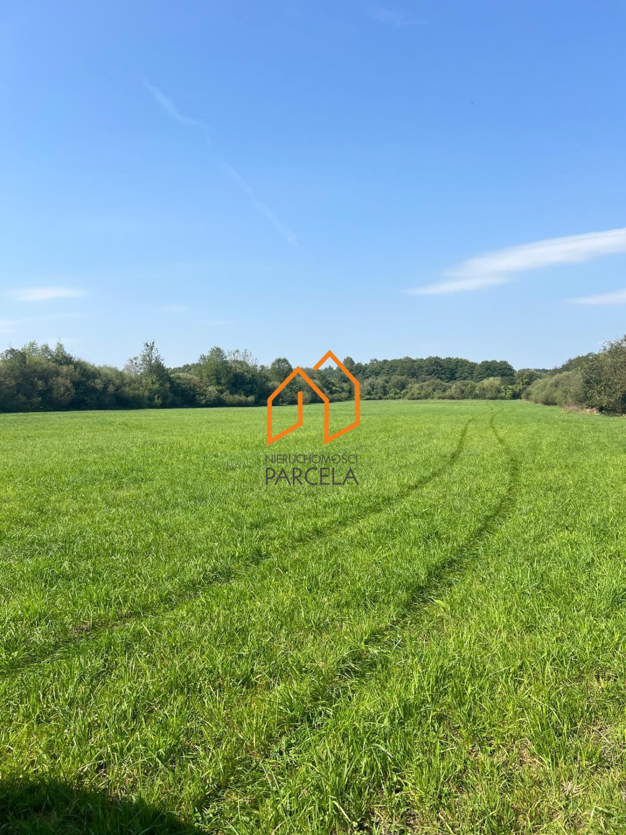 Sprzedam działkę 28 320 m² z mediami i widokiem na przyrodę Konarskie  28 320m2 Foto 1