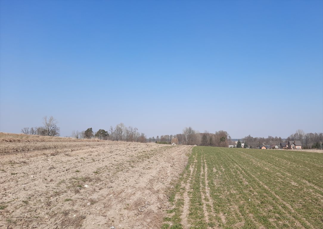 Działka budowlana na sprzedaż Godzianów  7 800m2 Foto 1