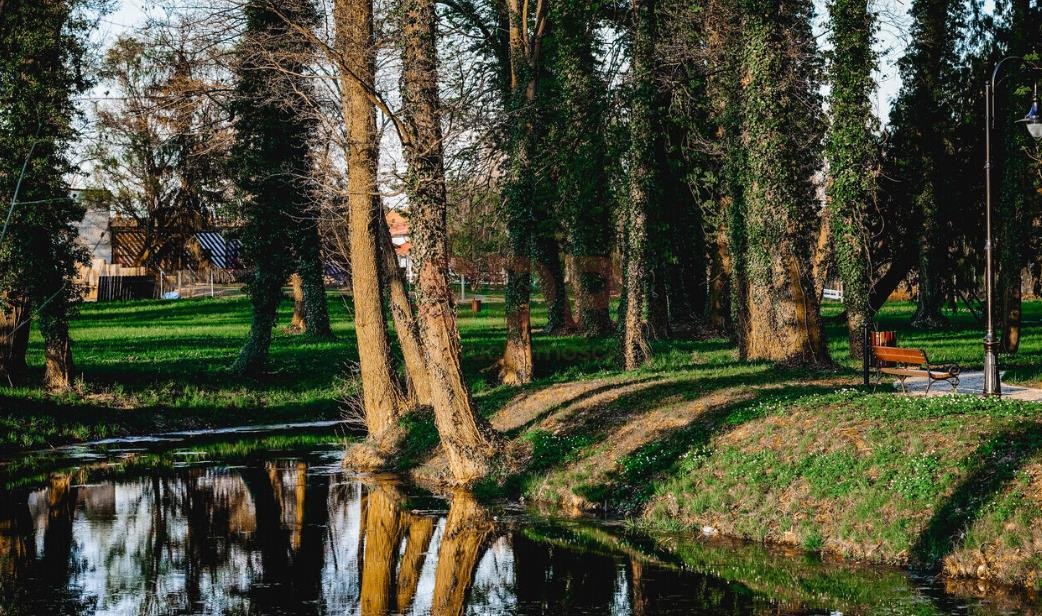 Działka komercyjna na sprzedaż Radwanice, Katarzyńska  10 000m2 Foto 2