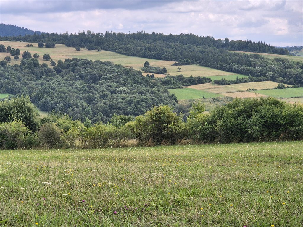 Działka rolna na sprzedaż Posada Jaśliska  9 300m2 Foto 9