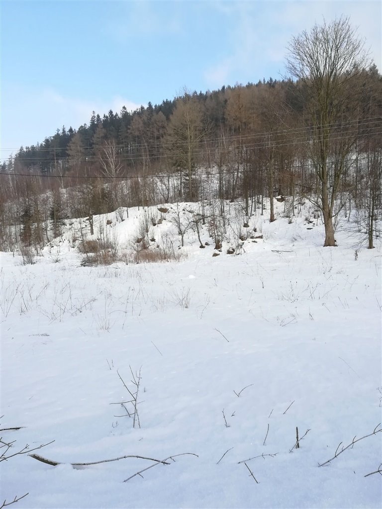 Działka 4600 m² z wodą, prądem i planem zabudowy Boguszów-Gorce  4 600m2 Foto 1