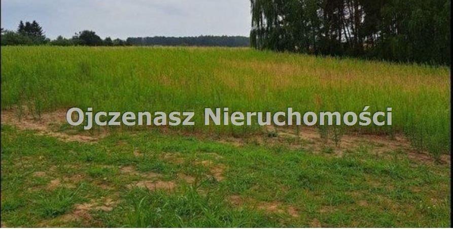 Działka inna na sprzedaż Morzewiec  1 020m2 Foto 2