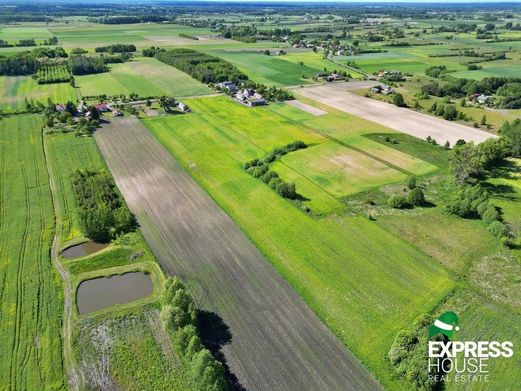 Działka rolna na sprzedaż Świerszczów  31 947m2 Foto 4