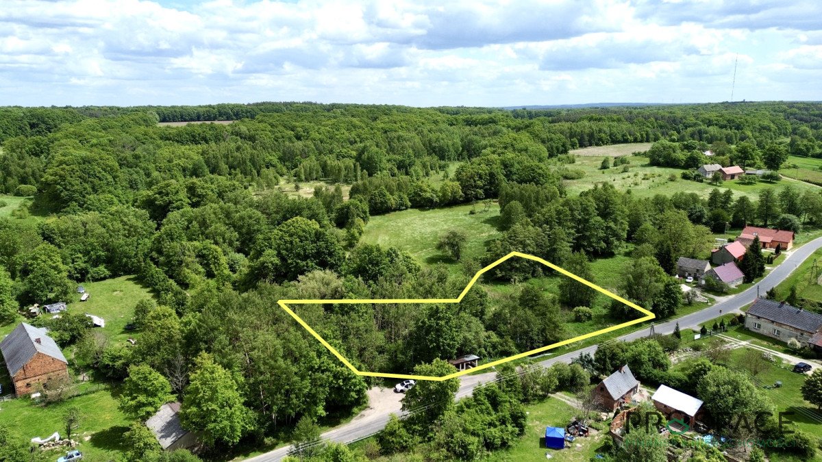 Zapraszam do zakupu działki 3300 m² z stawem i lasem Przylaski  3 300m2 Foto 1