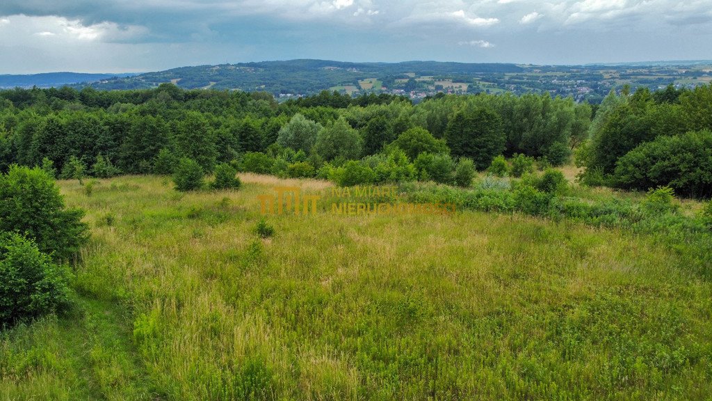 Działka budowlana na sprzedaż Siedliska  6 700m2 Foto 2