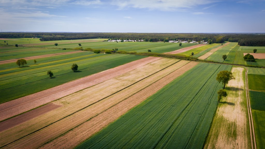 Działka inna na sprzedaż Uniejów  2 700m2 Foto 9