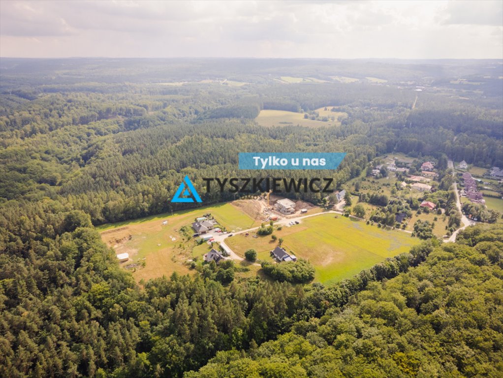 Działka z potencjałem, las, jezioro, oczko wodne Czapielsk, Tamaryszkowa  5 883m2 Foto 1