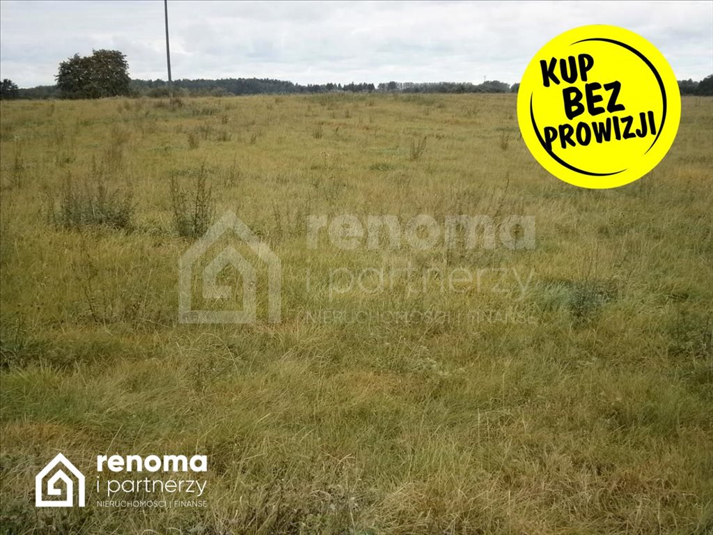 Działka gospodarstwo rolne na sprzedaż Chwarstno  259 000m2 Foto 1