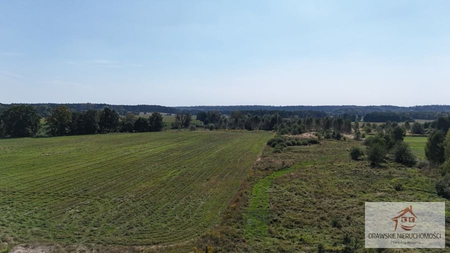 Działka rolna na sprzedaż Mielenko Drawskie, Mielenko Drawskie  71 700m2 Foto 6