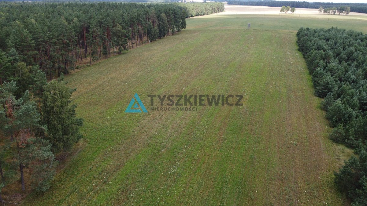 Działka rolna na sprzedaż Brzezinka  35 700m2 Foto 5