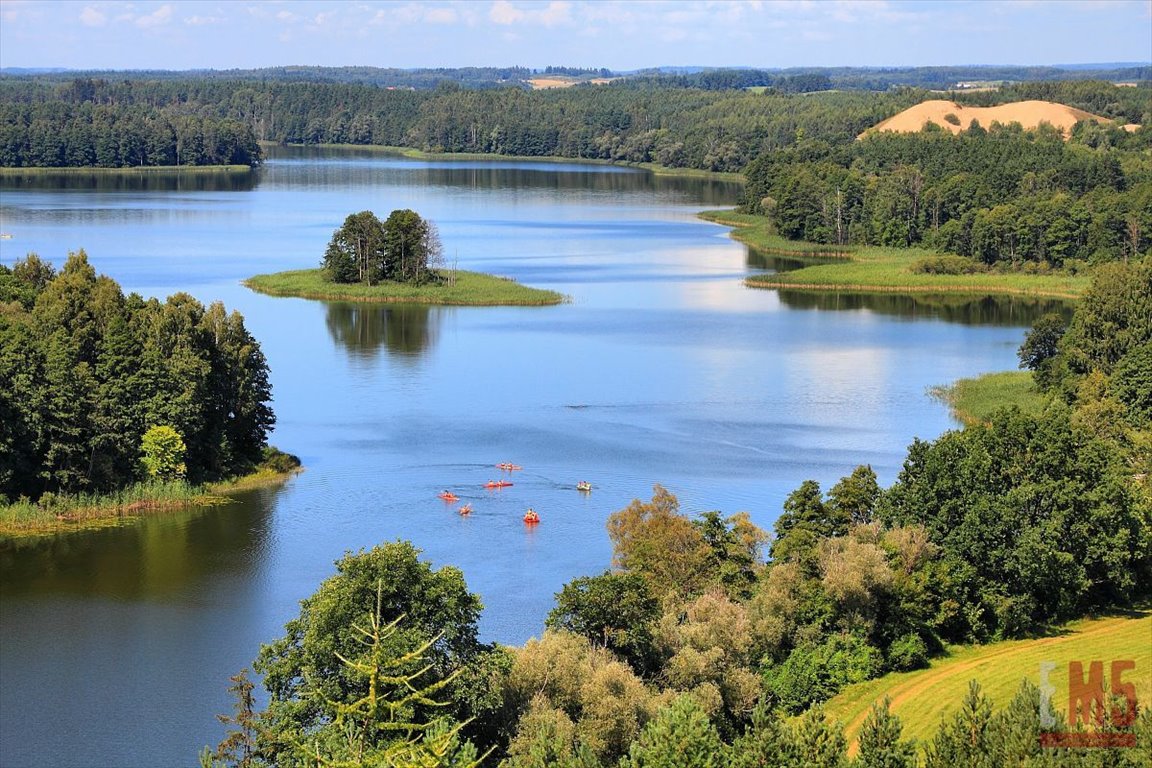 Działka inna na sprzedaż Wenecja  1 500m2 Foto 6