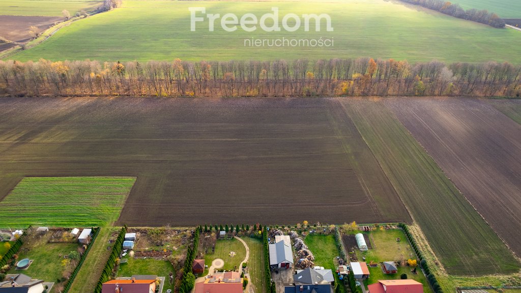 Działka budowlana na sprzedaż Cedry Wielkie, Bolesława Prusa  830m2 Foto 4