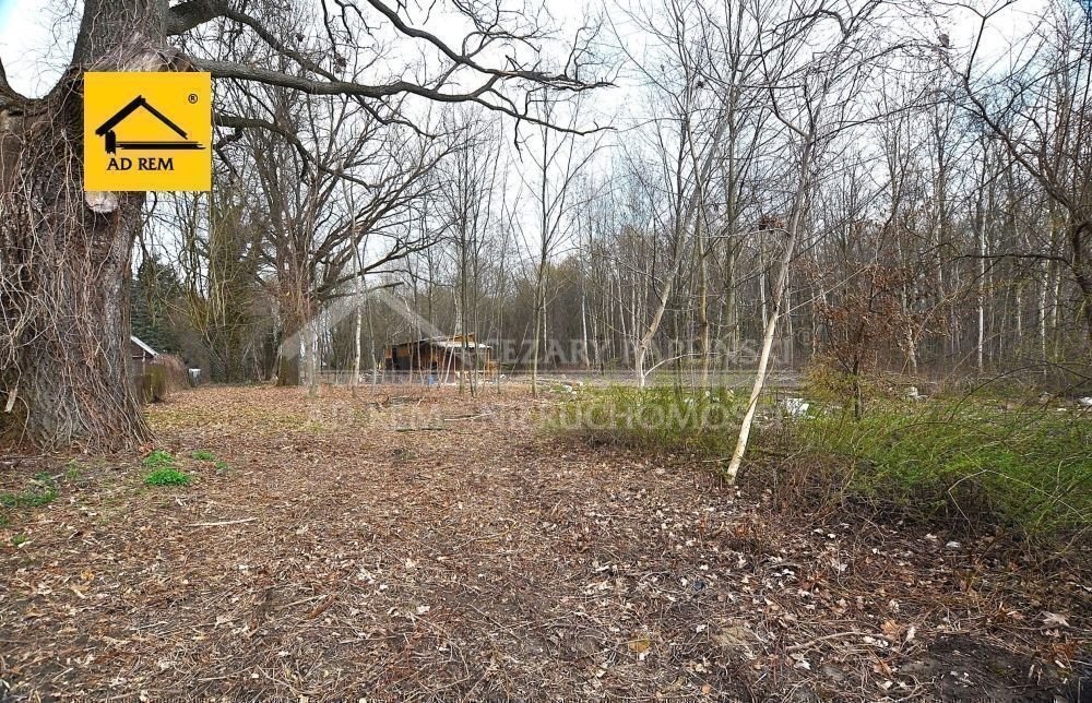 Na sprzedaż działka 2980 m² w Trojaczkowicach z dostępem do mediów Trojaczkowice, Trojaczkowice Duże  2 980m2 Foto 1