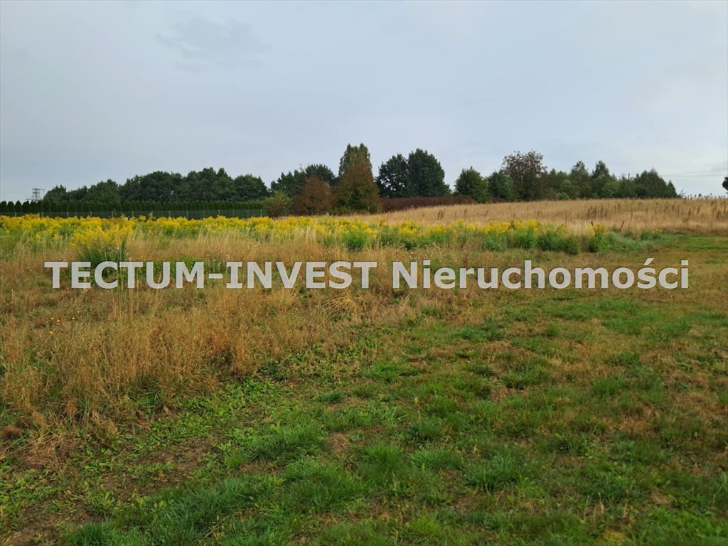 Działka budowlana na sprzedaż Wodzisław Śląski, Turzyczka  761m2 Foto 1