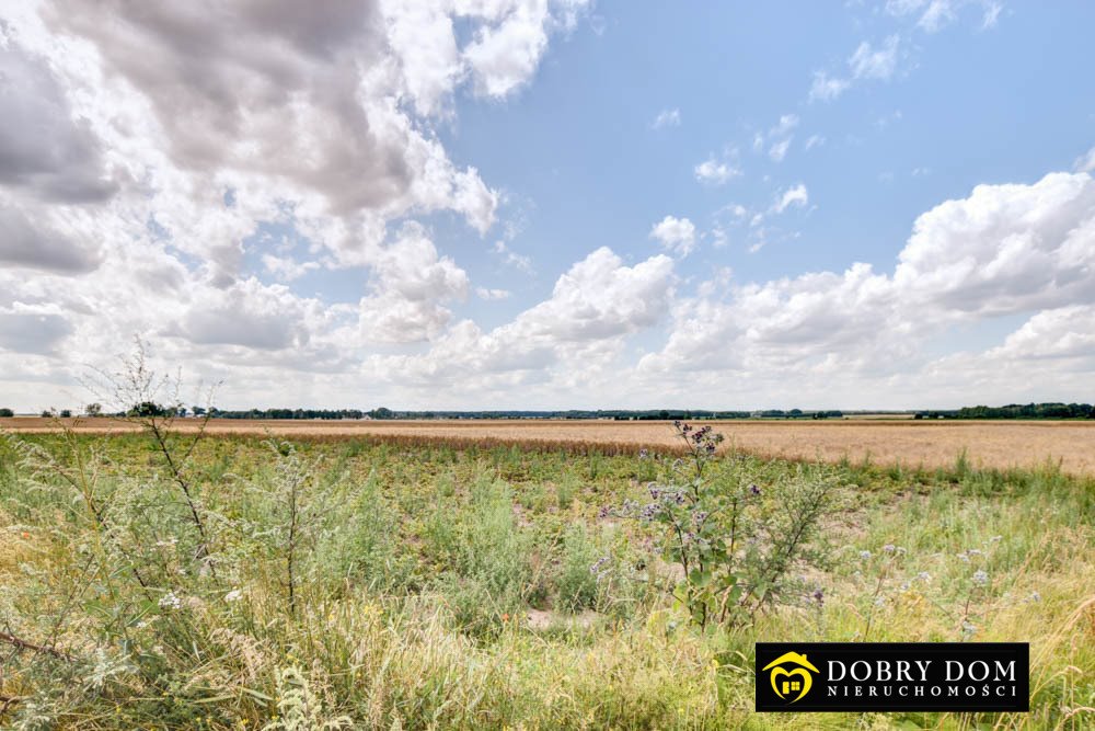 Działka rolna na sprzedaż Orzechowicze  16 800m2 Foto 1