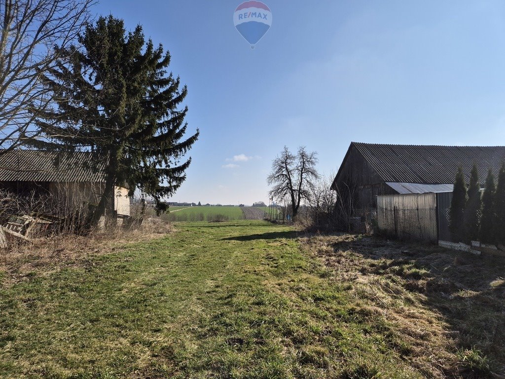 Działka budowlana na sprzedaż Nieskurzów Stary  3 300m2 Foto 12