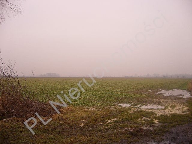Działka 4,98 ha pod inwestycję w Kłudnie Nowym - polecam Kłudno Nowe  49 800m2 Foto 1