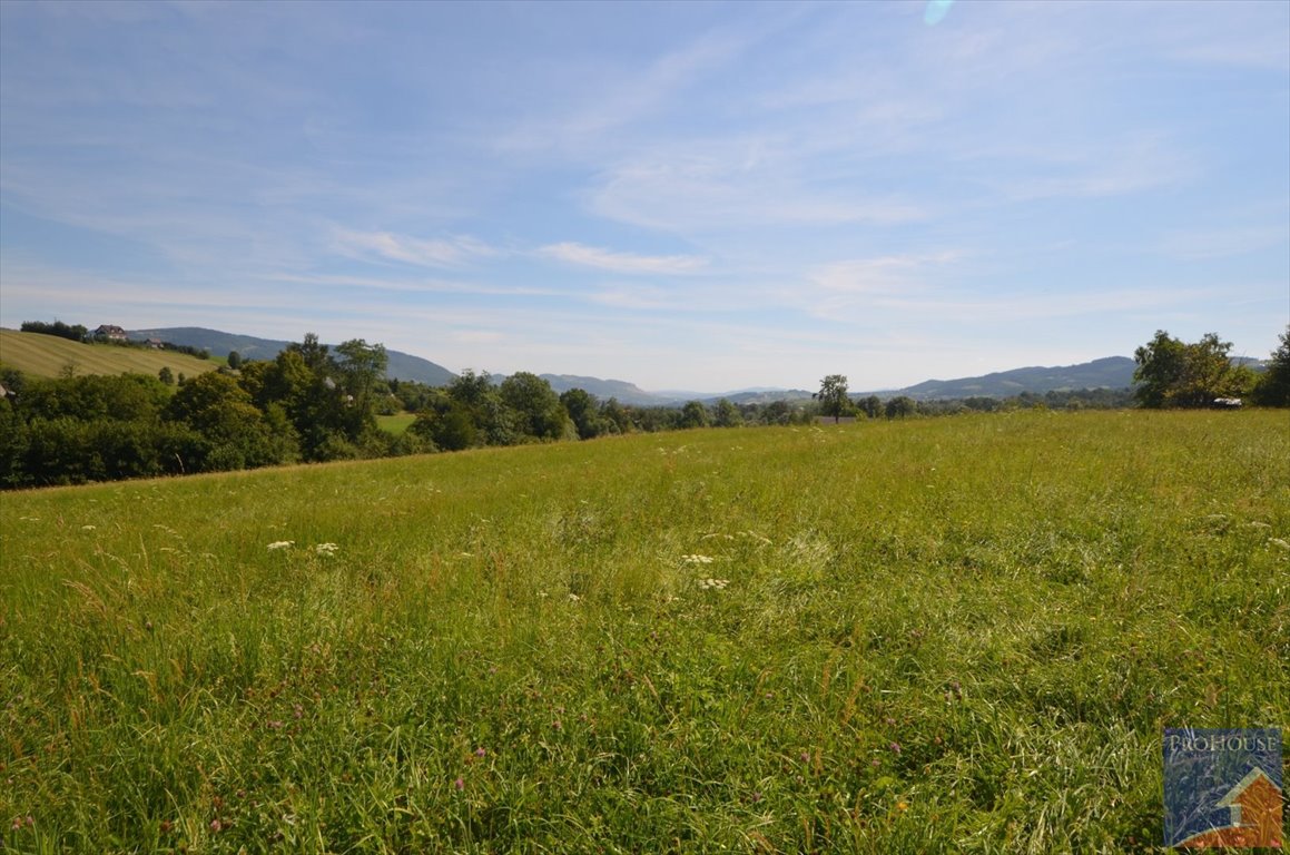 Działka budowlana na sprzedaż Pisarzowa  2 844m2 Foto 7