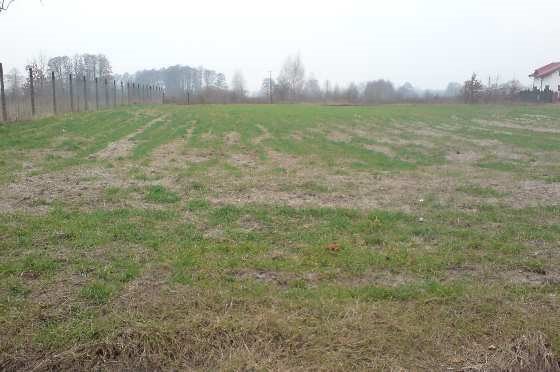 Działka inna pod dzierżawę Warszawa, Wawer, Miedzeszyn 5 564m2 Foto 1 Działka inna pod dzierżawę Warszawa, Wawer, Miedzeszyn 5 564m2 Foto 1